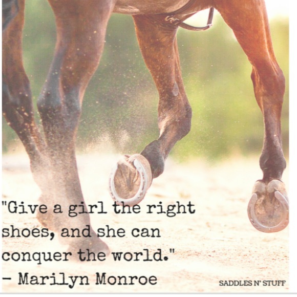 Meet your Posher, Nicole - Picture 1 of 1